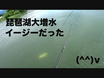 西日本豪雨で増水した琵琶湖でバス釣り。シャローでサカマタシャッドにドゴッ！