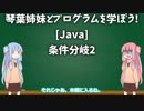【Java】琴葉姉妹とプログラムを学ぼう！ 4.条件分岐(switch-case文)【ボイロ講座】