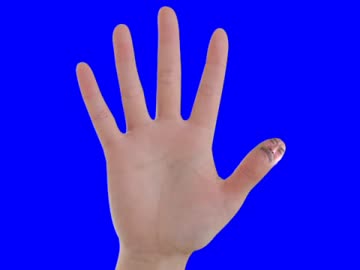 親指と化した親指（淫夢）