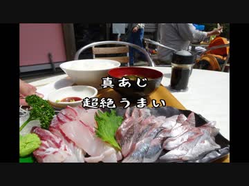 【四国一周の道】 第11幕・約束の高知県