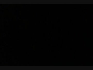 鳥の詩【高音質...のはず】