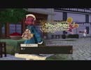 【ソフィーのアトリエ実況】不器用な男の錬金術の旅【part9】