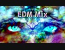 EDM Mix