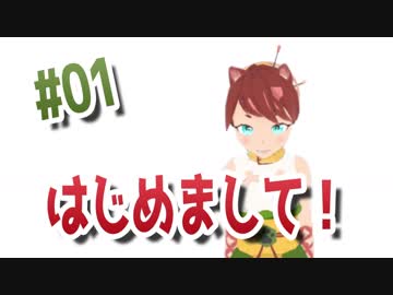 はじめまして！いりがみかさねです！