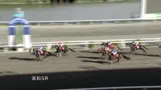 2018年7月9日高知競馬5R ヴェガ特別(準重賞・3歳以上牝馬) ディアマルコ