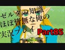 【ゼルダの伝説ブレスオブザワイルド】ゼルダの伝説の知識ほぼ皆無な俺の実況プレイpart85【初見プレイ】
