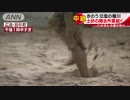 雨降っていないのに ため池決壊のおそれで避難指示 榎川が氾濫した広島県府中町