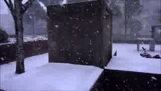 snow4