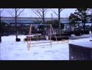 snow6