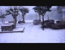 snow8
