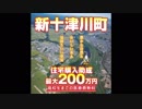 2018年7月11日門別競馬12R 住宅新築に２００万新十津川特別(C2-2・C3-1) プリムラジュリアン