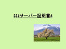 web戦略　～SSLサーバー証明書４～