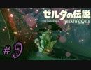 新作ゼルダを風タクしかやったことないうp主がプレイしてしまった part9