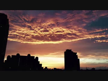 【オリジナル曲】Tail Lamp【初音ミク】