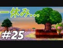 とびだすぜ！どうぶつの森＃２５