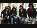 【Ramones】My Brain Is Handing Upside Down【Cover】