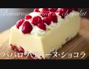 ラズベリーのババロワ・テリーヌ・ショコラ【お菓子作り】ASMR