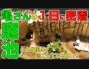 庭池の１日「亀さんの１日に密着」