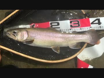 ほーじのアウトドアin高山＿雨上がりのホームリバー編