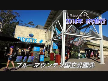 しろたんと行く　2018年ＳＦＣ修行　弾丸シドニー編　その８
