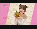 【k-pop】트와이스(TWICE) - Dance The Night Away 뮤직뱅크 (MusicBank) 180713