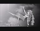 【ORIGINAL】DANDELION　―　Jiyuu・Cony（feat. Hatsune Miku）「Collaboration」