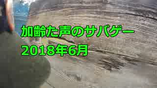 加齢た声のサバゲー　雨のなかで・・・　2018年6月