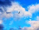 【オリジナル曲】ハバタキ / 将伍