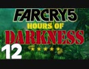 【XB1X】FARCRY 5 HOURS OF DARKNESS 実況プレイ 12