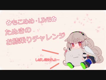 たぬき(猫) 飼い羊のお膝に乗るチャレンジ【もこ田めめめ】