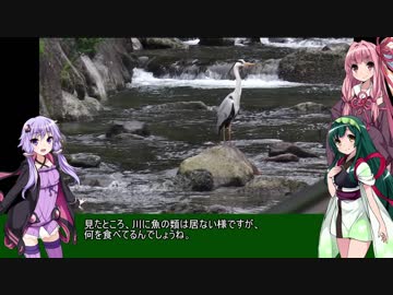 初心者ゆかりのキャンプしようか 第2回 後編