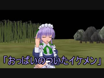咲夜さんとめーりんの日常