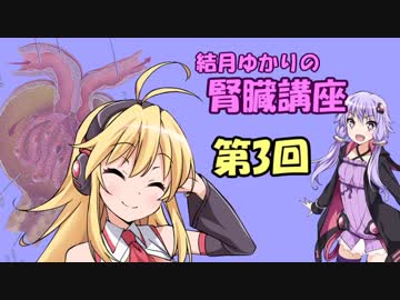 【結月ゆかり】結月ゆかりの腎臓講座 part3 腎臓と内分泌【弦巻マキ】