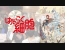 『はたらく細胞』OP「ミッション！健・康・第・イチ」叩いてみた。