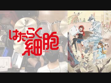 『はたらく細胞』OP「ミッション！健・康・第・イチ」叩いてみた。