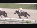 2018年　第22回 マーキュリーC（JpnⅢ）【ミツバ】