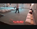 【さんふらわぁ】fhanaのライブに行く道中の動画2018⑪【船内探検】