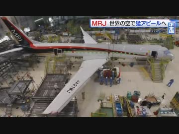 見た目の美しさ