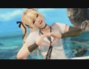 [DOAX3]透けマリー・ローズ[パンクブリザード]