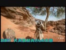 True BattleField シーズン2 3