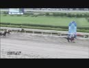 【落馬してる？】2018年7月17日浦和競馬6R C2-三組・四組 タマモサーティーン【ゴールしてる？】