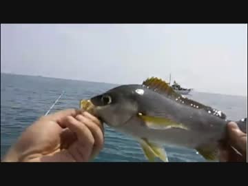 2018/7/16イサキ船釣り動画