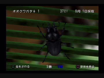 【USA女子】ぼくのなつやすみ２実況！part34【たのしい日本の夏休み】