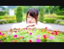 【さきそにー】 夏恋花火 【踊ってみた】