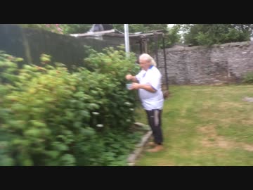Forfar Berry Thief
