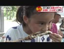 猛暑も何のその！ 子どもたちの「海の日」スケッチ カブトムシ大会、イワナをがぶり、そうめん大会など夏の風物詩　