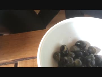 Eating Whelks