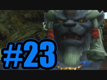 【実況】漬物卒業【FF10】#23
