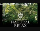 Kenichiro Nishihara - Silent Motorway