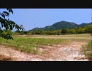 【守猫】いのちの名前【歌ってみた】